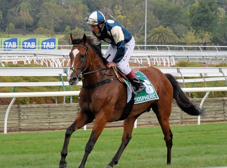 australian cup_exospheric 4 australian cup_exospheric 4