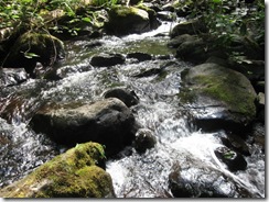 backpacking Clackamas 33