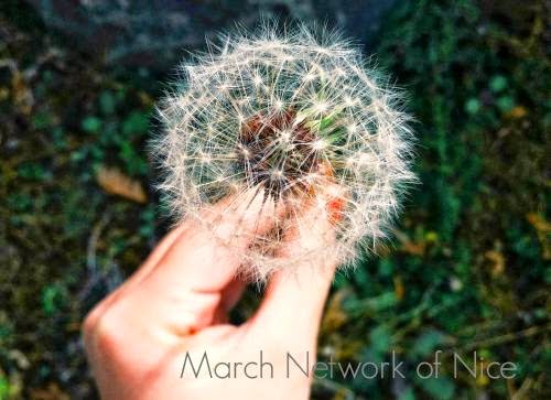 March Network Of Nice Hookups Food Trucks Flipping Houses Creative Coaching