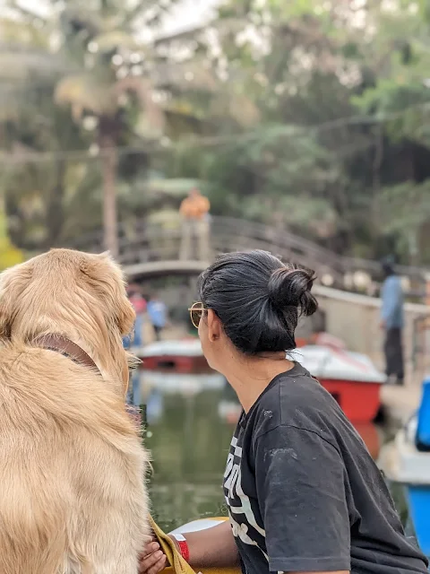 Dog on boat ride