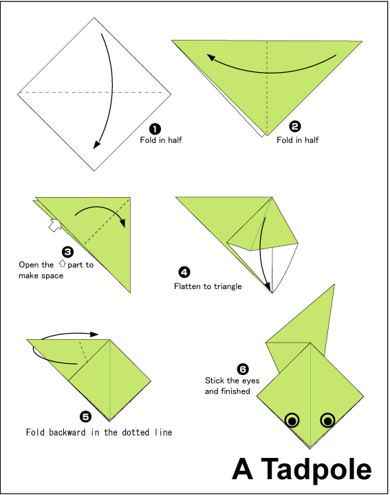 Tadpole Easy Origami Instructions For Kids