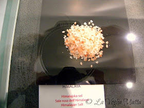 Saline di Sicciole museo del sale