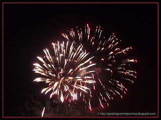 fireworks over Niagara Falls