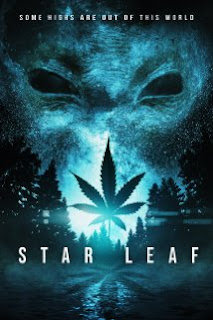 Star Leaf cover