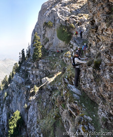 IX Travesía Sierra de las Nieves