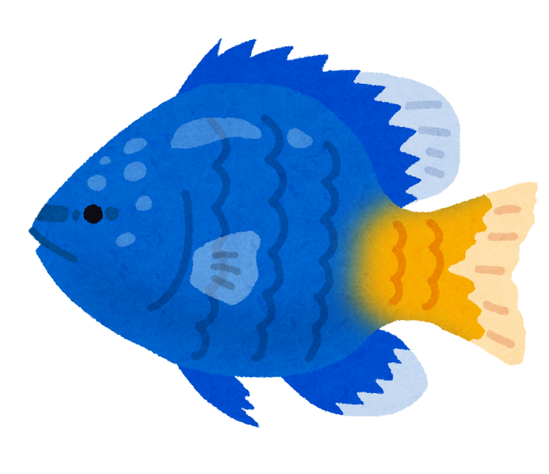 シリキルリスズメダイのイラスト 熱帯魚 かわいいフリー素材集 いらすとや