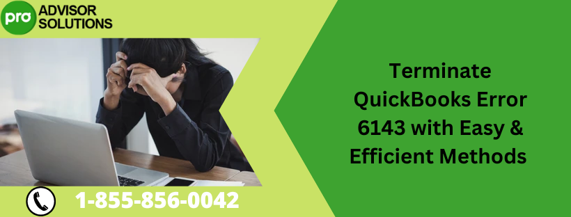 QuickBooks Error 6143