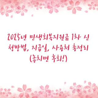 2025년 민생회복지원금 1차 신청방법, 지급일, 사용처 총정리 (놓치면 후회!)
