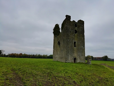 Tinnakill Castle, Laois