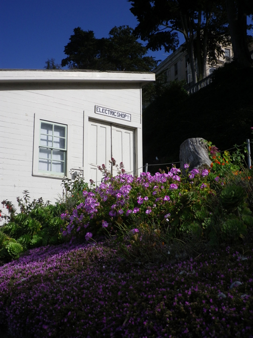 Gardens of Alcatraz