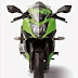 Gali Potensi Kawasaki Ninja RR Mono/250SL