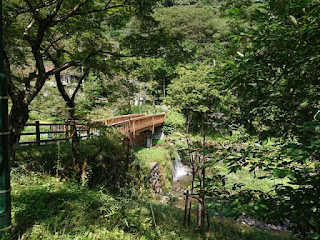 養老の滝 橋