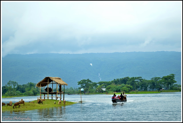 Bichanakandi, Pangthumai, Ratargul, Sylhet, Beautiful Bangladesh, বিসানাকান্দি, Trip Navigation Bangladesh