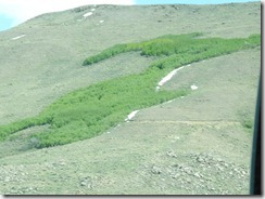RSCN0685
