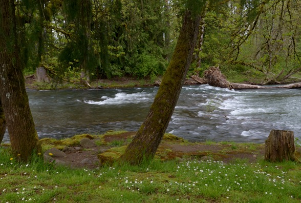 Crabtree Creek at Larwood Bridge