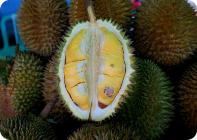  Pasti semua nya tujuk tangan suka suka suka Pesta Durian Sepanjang Tahun Di Pasar Kuto