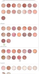 blush everyday minerals