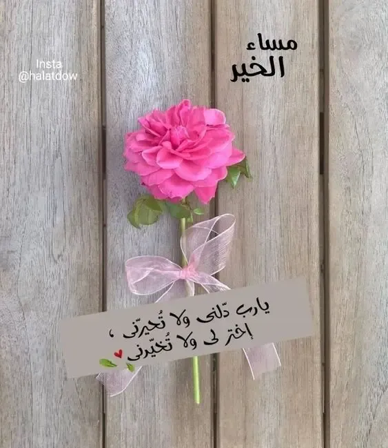 صور مساء الخير 2023 صور مكتوب عليها عبارات مساء الخير
