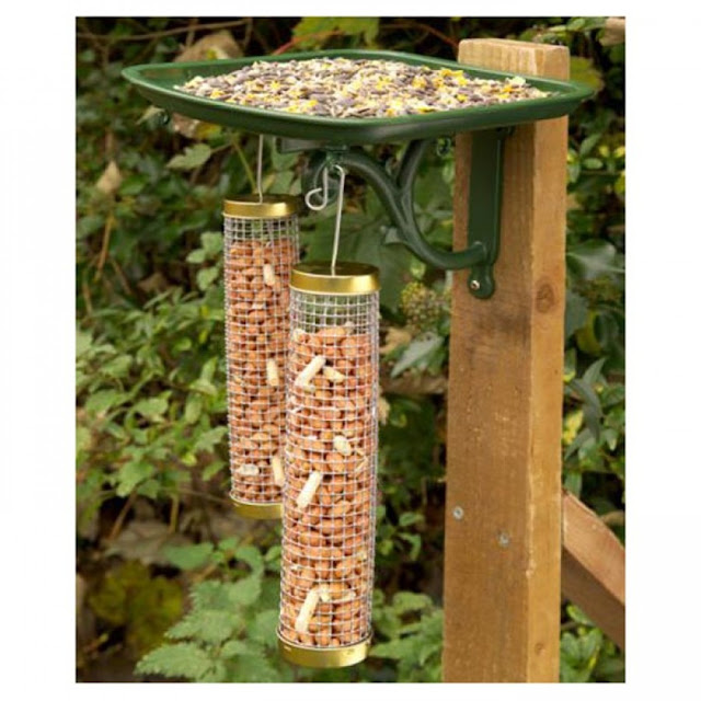 Wall Mounted Bird Feeders