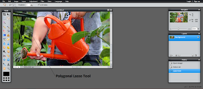 Polygonal and Free hand