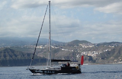 balu_vor_gran_canaria