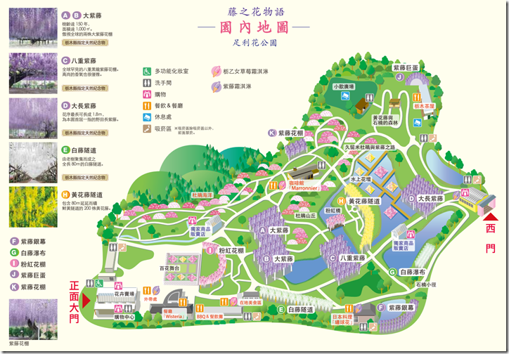 在最美的季節遇見足利紫籐花卉公園：門票交通攻略實況(下)03