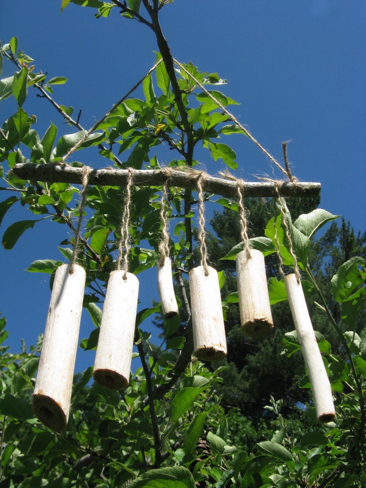 Natural Kids Making Sumac Wind Chimes with Finns Flowers