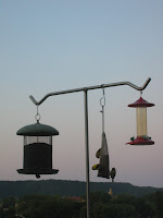 Sunday birds 3