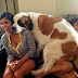 Collection of 26 Huge Dogs Around the World