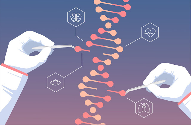 Single Cell Genome Sequencing