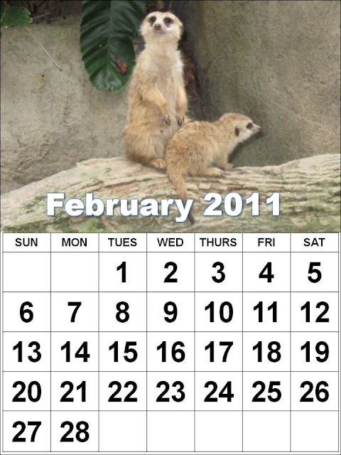 justin bieber 2011 calendar february. justin bieber 2011 calendar
