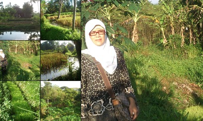 View album