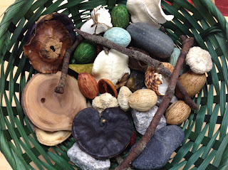 Basket full of things from nature.