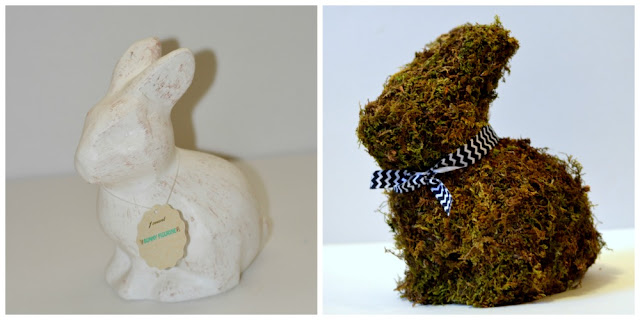 side by side before and after plain and moss covered bunny rabbit