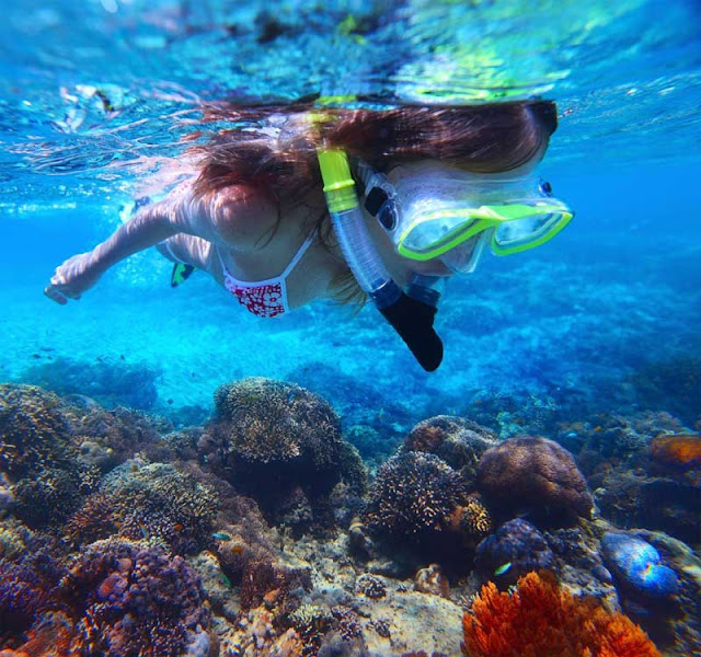 Lady Musgrave Island