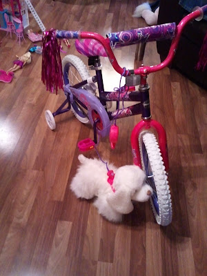 Celete's new dog and bike