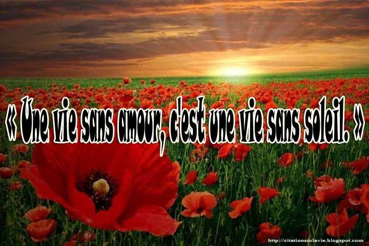 Belle phrase d'amour en image