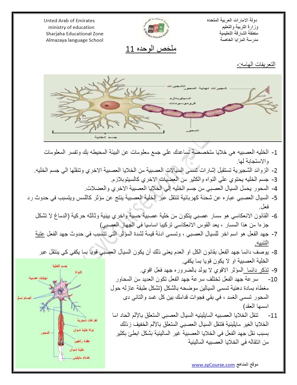 ملخص لوحدة الوراثة في مادة الأحياء للصف الثاني عشر المتقدم الفصل الأول 2024