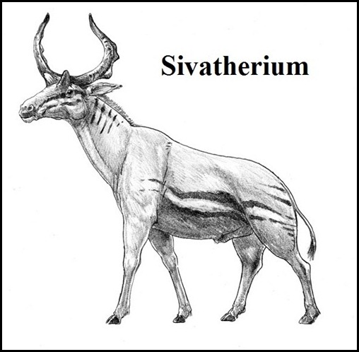 Siva