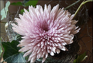 blog 2
