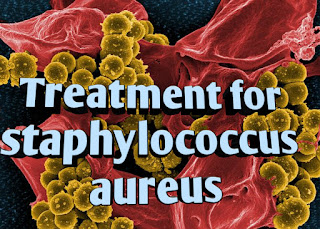 Treatment for staphylococcus aureus