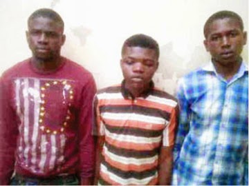 Ogun state police arrests three suspected cultists, Three cultists arrested for threatening student, three members of the Vikings confraternity arrested