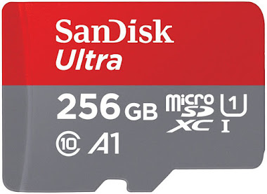 SanDisk Ultra 256 GB