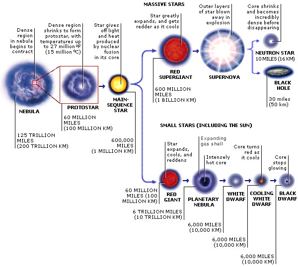 Black Hole Neutron Star2