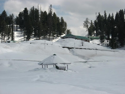 Snow Covered Gulmarg