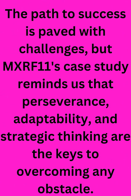 The path to success is paved with challenges, but MXRF11's case study reminds us that perseverance, adaptability, and strategic thinking are the keys to overcoming any obstacle.
