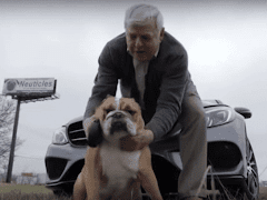 Gregg Miller Jadi Jutawan Selepas Mencipta Testis Palsu Anjing