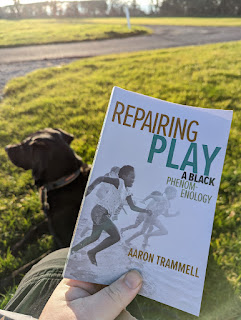 Front cover of the book entitled Repairing Play