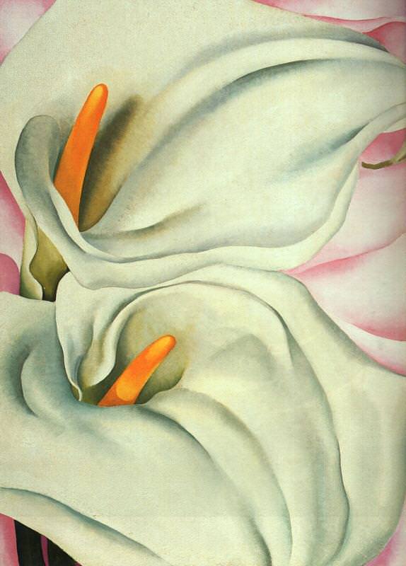 Two Calla Lilies on Pink by Georgia O'Keeffe