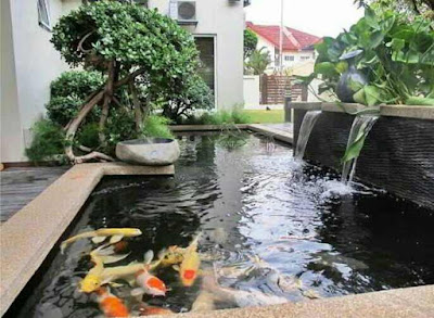 Desain kolam ikan minimalis di lahan sempit, gambar kolam ikan hias mininalis di depan rumah